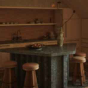 Animal Hospital - Kitchen