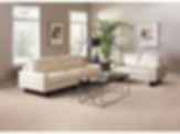 Artistic Vision Carpet