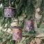 Aurora Garden Lamps