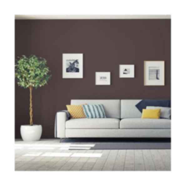 Black Walnut: PPG1014-7
