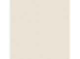 Blank Canvas: PPG1085-1