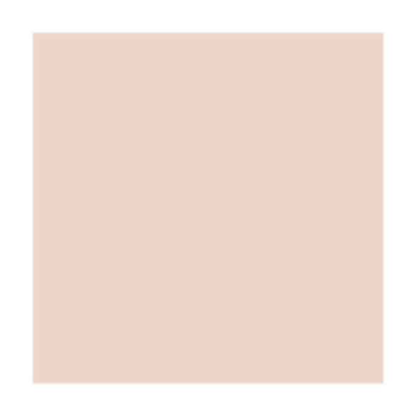 Blush Beige: PPG1070-2