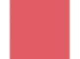 Briquette: PPG1188-6