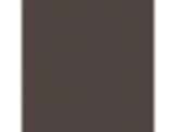 Dark Granite: PPG1005-7