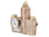 Emergency Fixtures and Valves EFX25-S19-2100