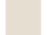 Focus: PPG1008-1