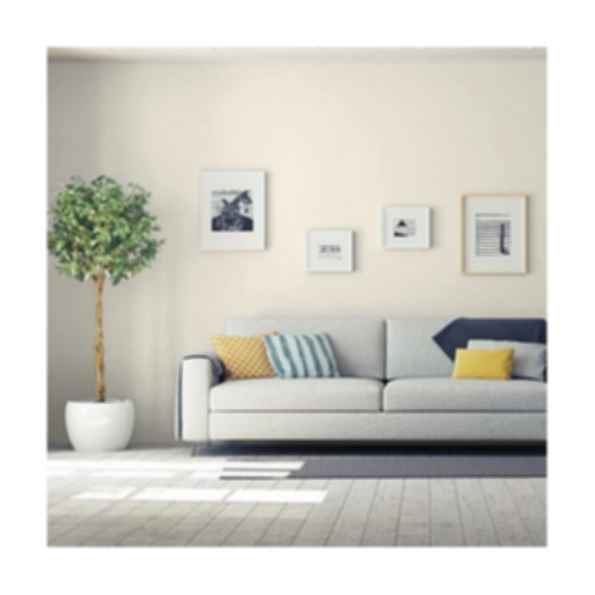 Focus: PPG1008-1