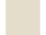 Fossil Stone: PPG1102-2