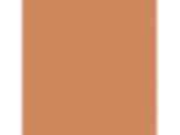 Georgian Leather: PPG1200-5