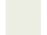 Gypsum: PPG1006-1