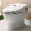 Neorest® 500 Toilet, 1.6 GPF with SanaGloss®