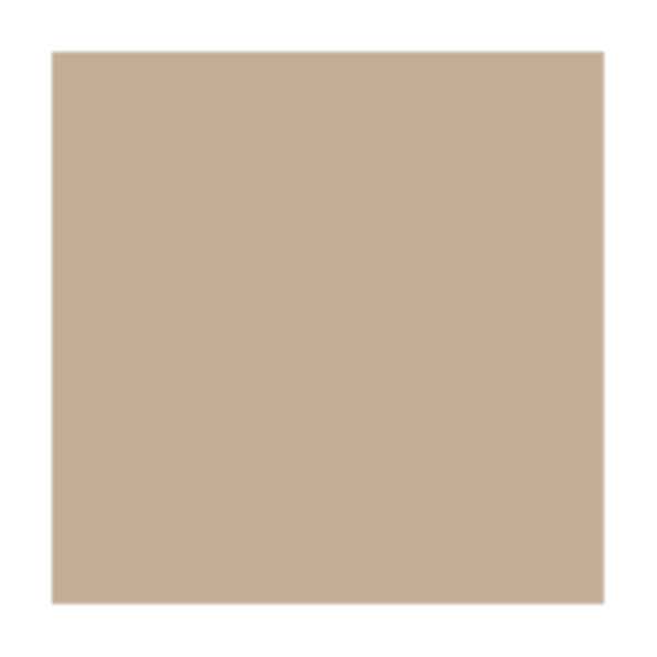Persuasion: PPG1077-3