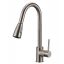 PL-8211 Single Handle Pulldown Spray Kitchen Faucet