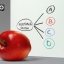Projectable Magnetic Dry-Erase Glass Marker Board