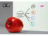 Projectable Magnetic Dry-Erase Glass Marker Board