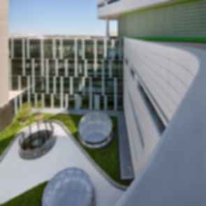Rush University Medical Center - Green Roof