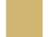 Spicy Mustard: PPG1108-5