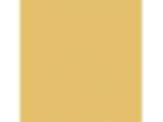 Turner's Yellow: PPG1106-4