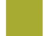 Willow Herb: PPG17-26