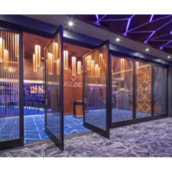 Pivot Doors