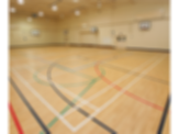 Polyflor Sport 67 flooring ranges library BIM contents