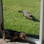 StormSafe Stainless Steel Security Screens
