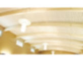 Toris Roof and Floor Deck Ceiling Systems